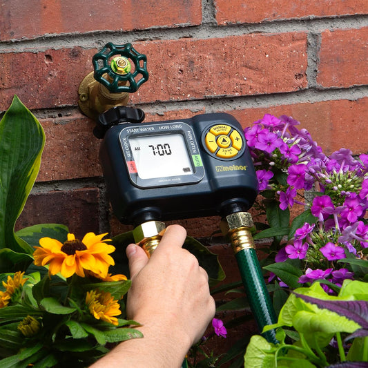 65139AMZ AquaTimer Digital Hose Timer, 2-Zone Programmable Watering Timer, Quick Connect Bundle, Black, Yellow