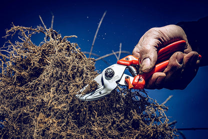 Profi Anvil Prunner Garden Tools 8.107 with Bypass Geometry | Robust & Sharp Hedge Trimmer | Use as Pruners, Garden Shears, Handheld, Pruning Shears for Gardening | Made in Germany