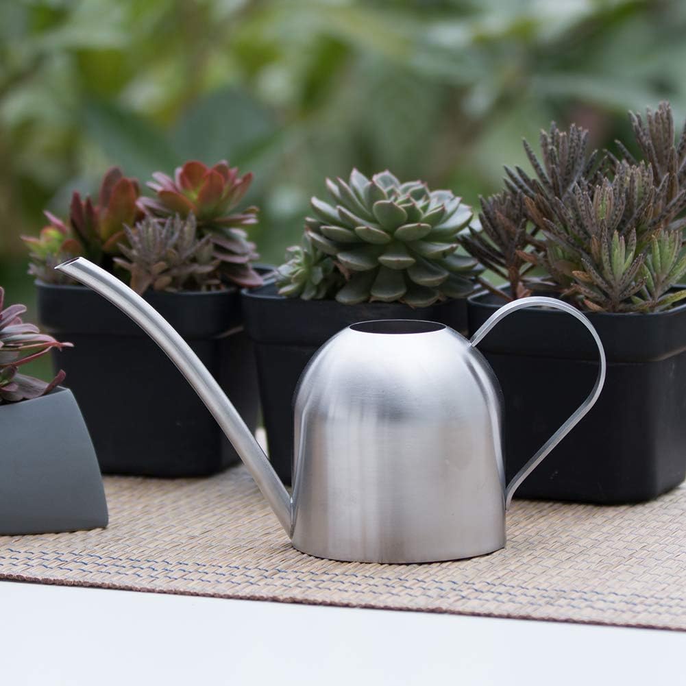 Watering Can for Indoor Plants, 30oz Long Spout Stainless Steel