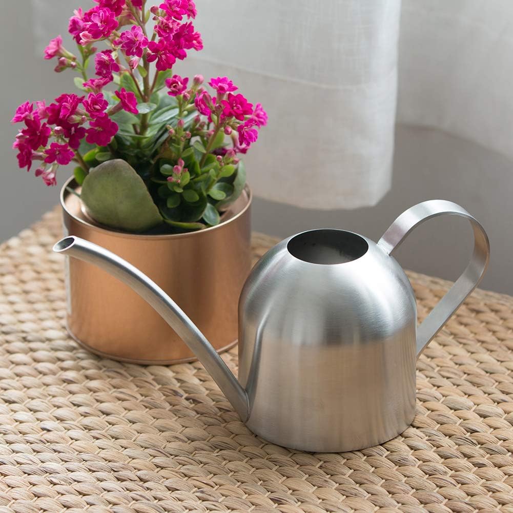 Watering Can for Indoor Plants, 30oz Long Spout Stainless Steel