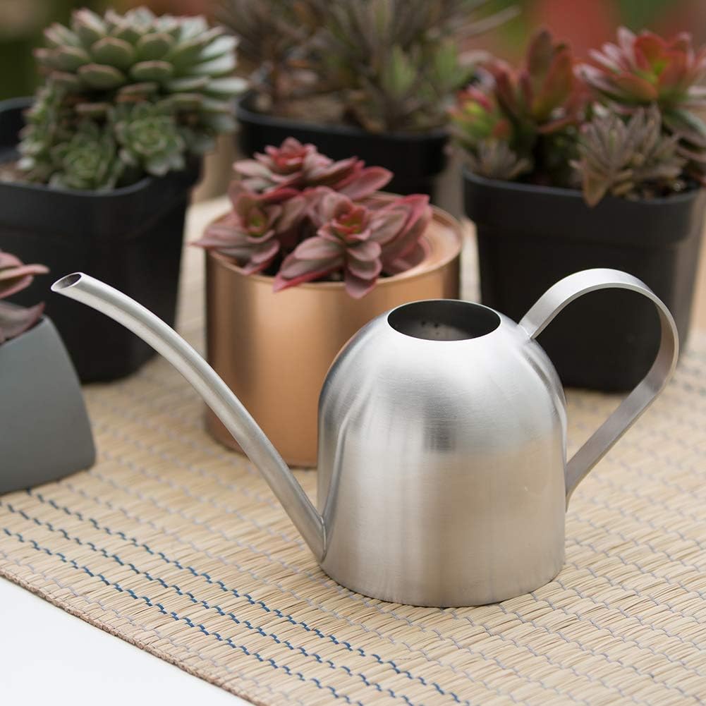 Watering Can for Indoor Plants, 30oz Long Spout Stainless Steel