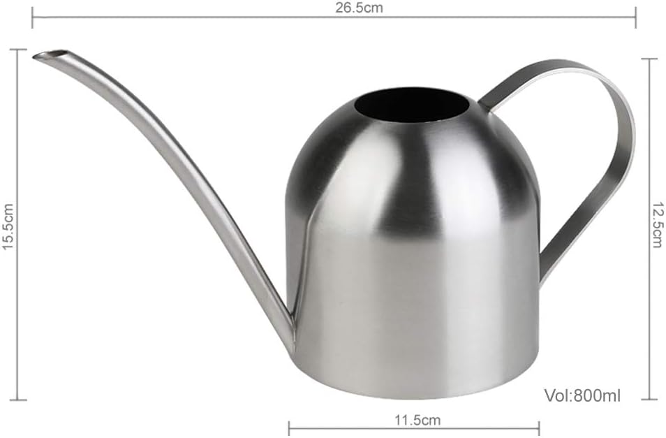 Watering Can for Indoor Plants, 30oz Long Spout Stainless Steel