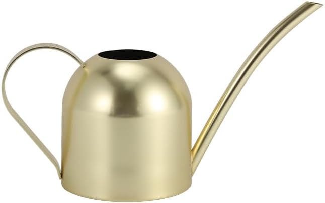 Watering Can for Indoor Plants, 30oz Long Spout Stainless Steel