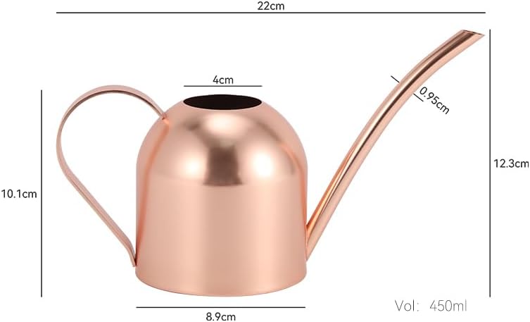 Watering Can for Indoor Plants, 30oz Long Spout Stainless Steel