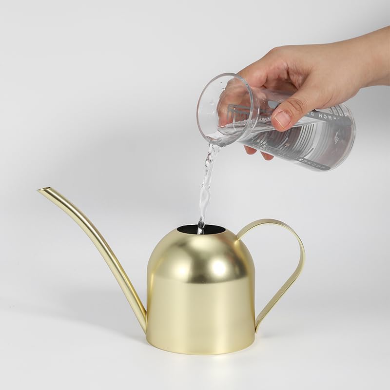 Watering Can for Indoor Plants, 30oz Long Spout Stainless Steel