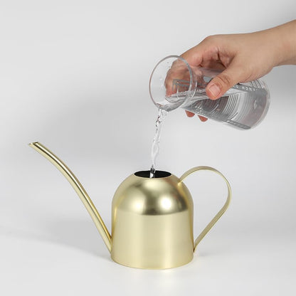 Watering Can for Indoor Plants, 30oz Long Spout Stainless Steel