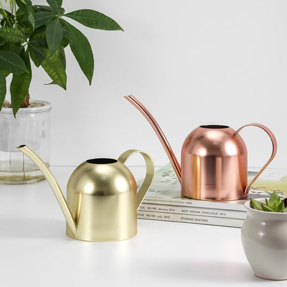 Watering Can for Indoor Plants, 30oz Long Spout Stainless Steel
