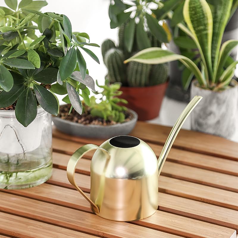 Watering Can for Indoor Plants, 30oz Long Spout Stainless Steel