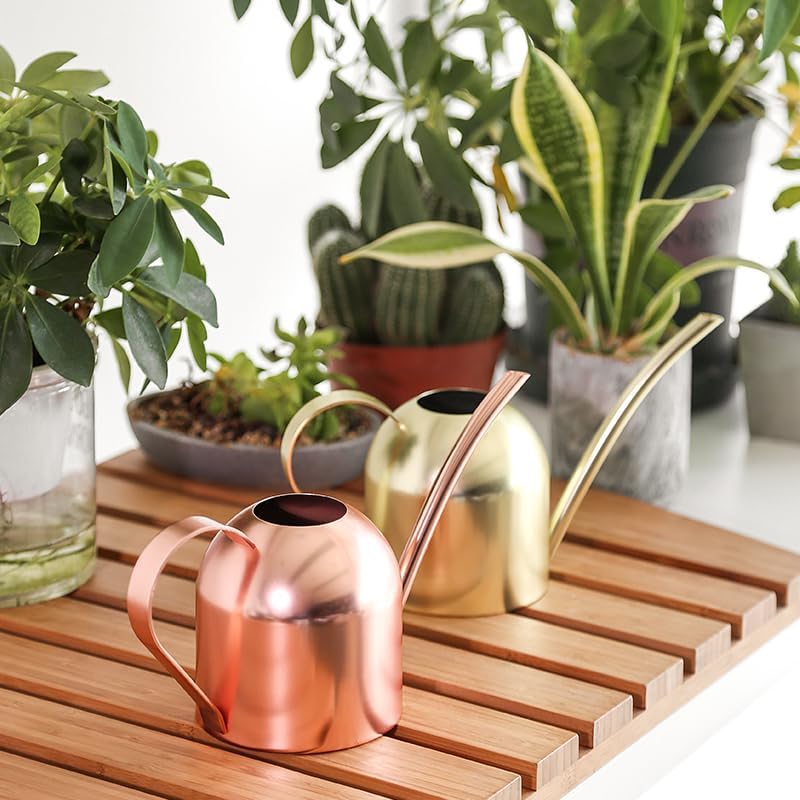 Watering Can for Indoor Plants, 30oz Long Spout Stainless Steel