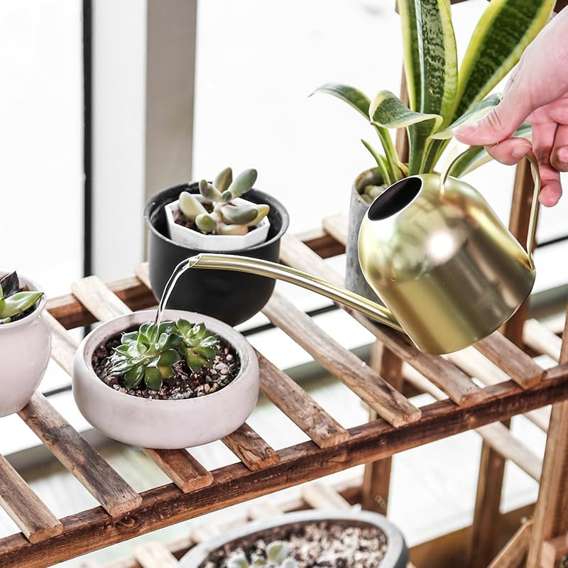 Watering Can for Indoor Plants, 30oz Long Spout Stainless Steel