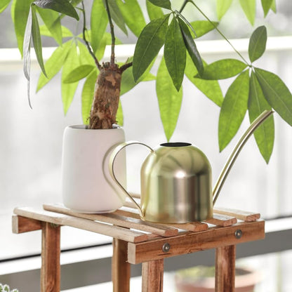Watering Can for Indoor Plants, 30oz Long Spout Stainless Steel