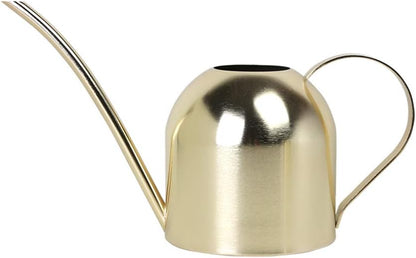 Watering Can for Indoor Plants, 30oz Long Spout Stainless Steel