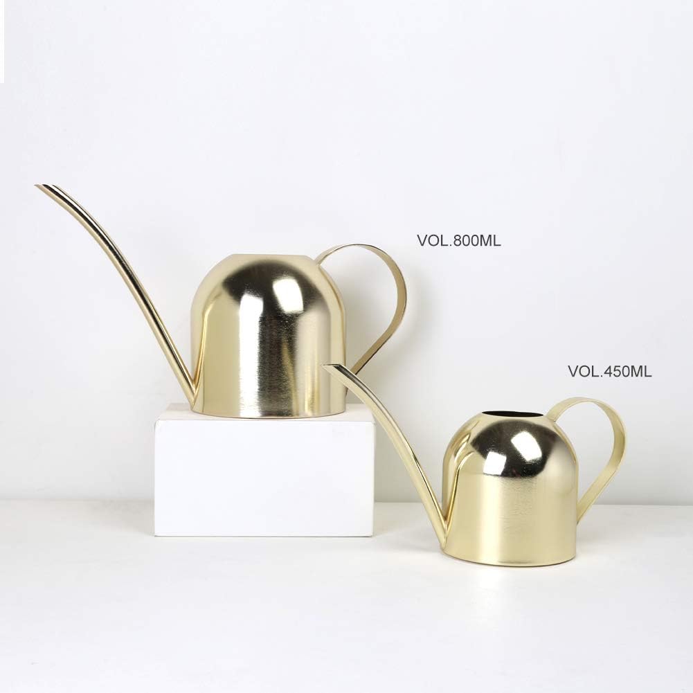 Watering Can for Indoor Plants, 30oz Long Spout Stainless Steel