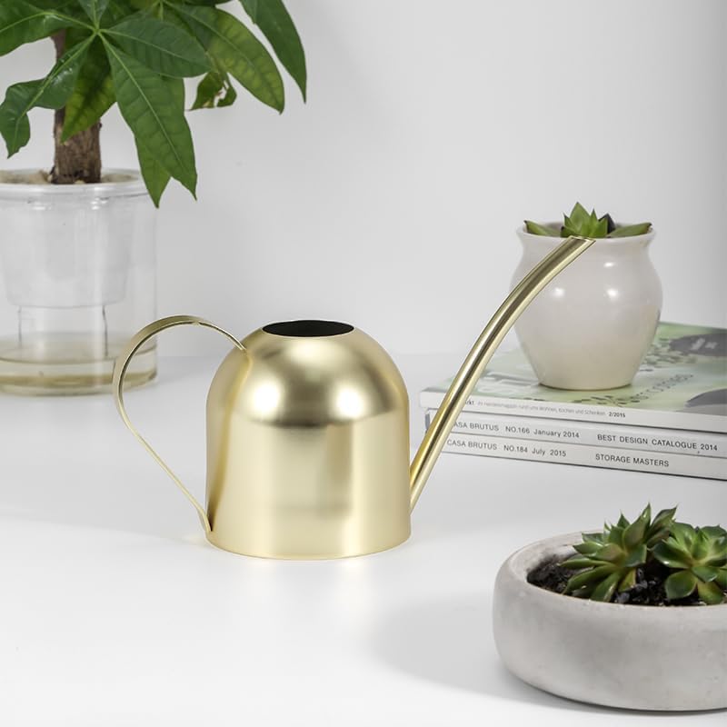 Watering Can for Indoor Plants, 30oz Long Spout Stainless Steel