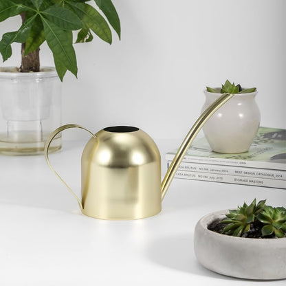Watering Can for Indoor Plants, 30oz Long Spout Stainless Steel