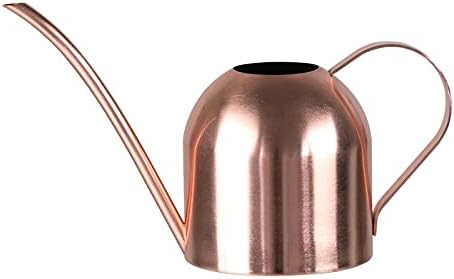 Watering Can for Indoor Plants, 30oz Long Spout Stainless Steel