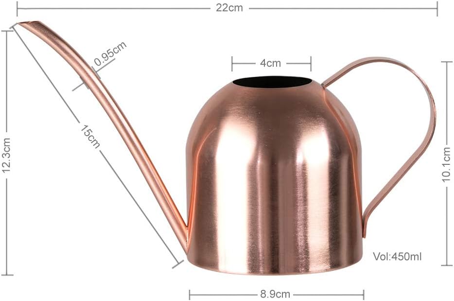 Watering Can for Indoor Plants, 30oz Long Spout Stainless Steel