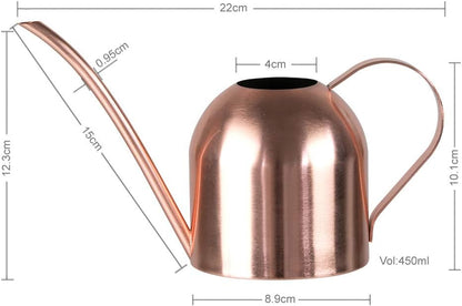Watering Can for Indoor Plants, 30oz Long Spout Stainless Steel