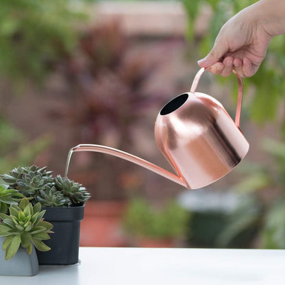 Watering Can for Indoor Plants, 30oz Long Spout Stainless Steel