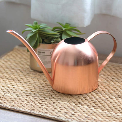 Watering Can for Indoor Plants, 30oz Long Spout Stainless Steel