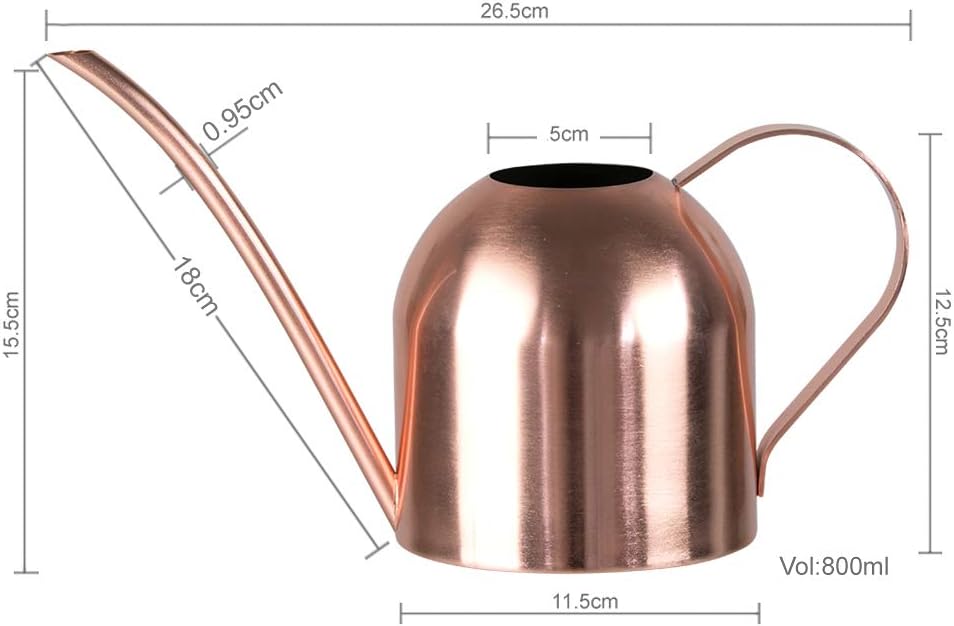 Watering Can for Indoor Plants, 30oz Long Spout Stainless Steel