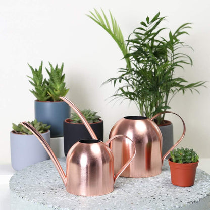 Watering Can for Indoor Plants, 30oz Long Spout Stainless Steel