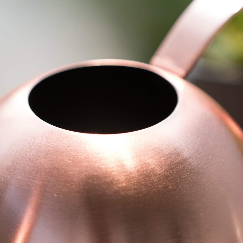 Watering Can for Indoor Plants, 30oz Long Spout Stainless Steel