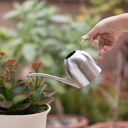 Watering Can for Indoor Plants, 30oz Long Spout Stainless Steel