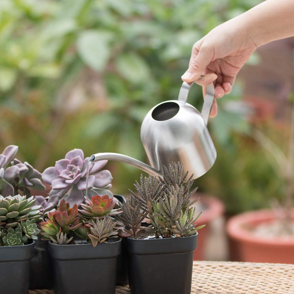 Watering Can for Indoor Plants, 30oz Long Spout Stainless Steel