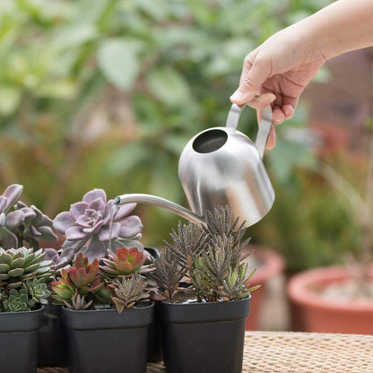 Watering Can for Indoor Plants, 30oz Long Spout Stainless Steel