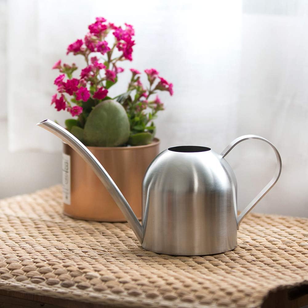 Watering Can for Indoor Plants, 30oz Long Spout Stainless Steel