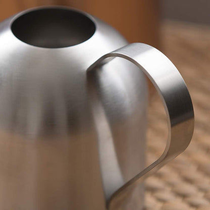 Watering Can for Indoor Plants, 30oz Long Spout Stainless Steel