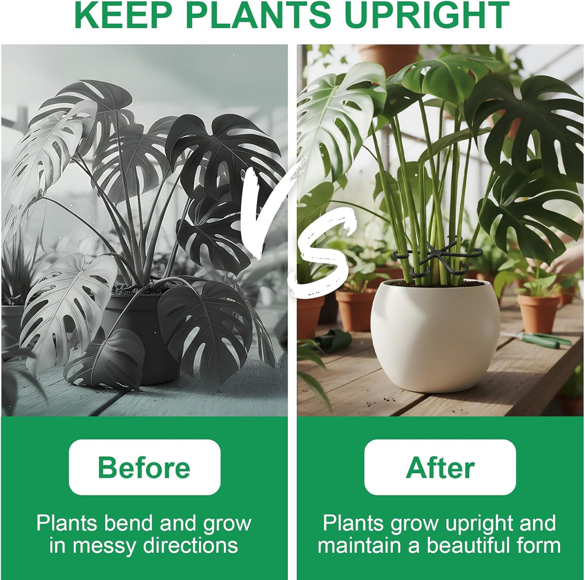 8 PCS Plant Stem Support – Reusable Plastic Plant Stem Holder for Monstera, Indoor Plant Support Clips, Gardening Accessories