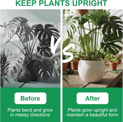 8 PCS Plant Stem Support – Reusable Plastic Plant Stem Holder for Monstera, Indoor Plant Support Clips, Gardening Accessories
