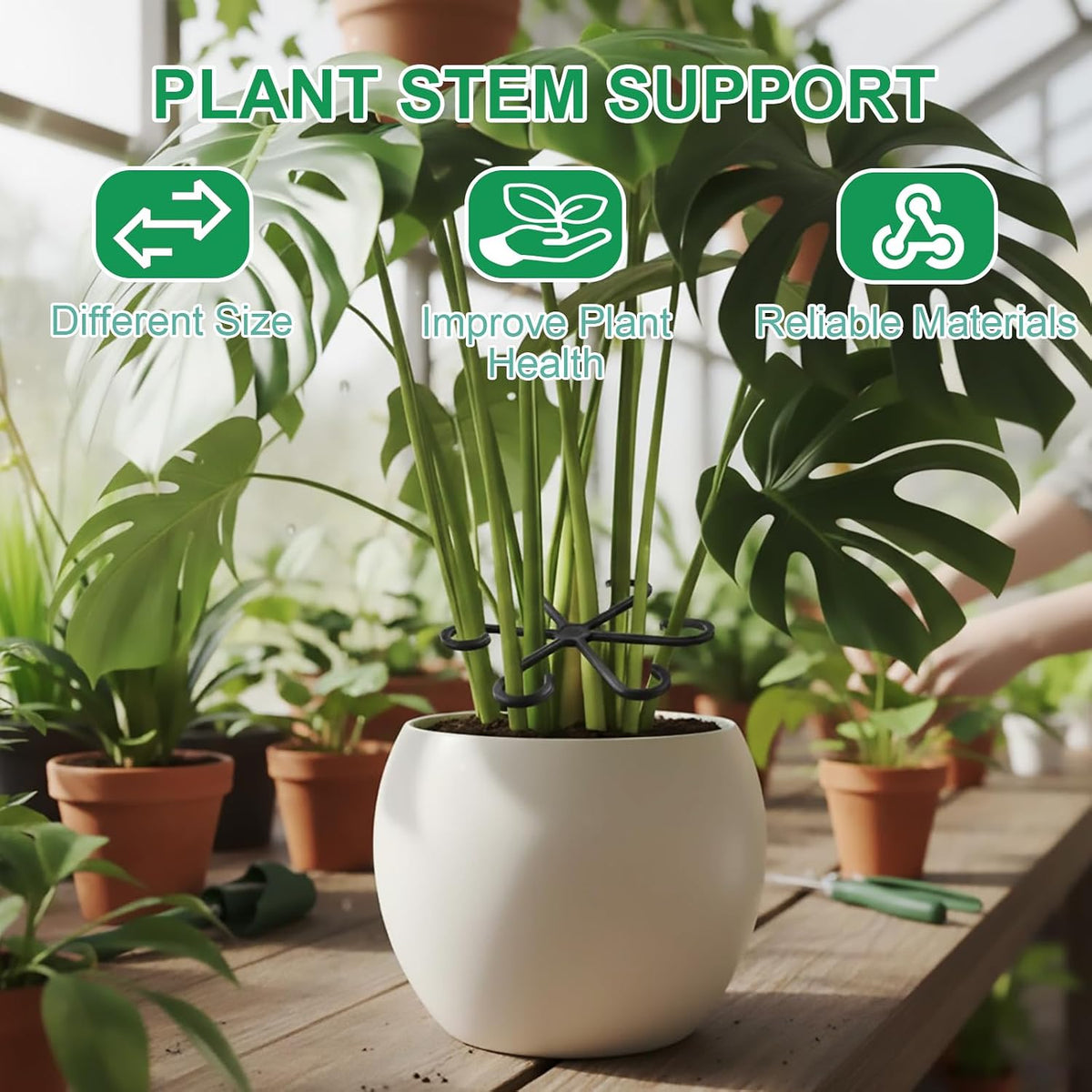 8 PCS Plant Stem Support – Reusable Plastic Plant Stem Holder for Monstera, Indoor Plant Support Clips, Gardening Accessories