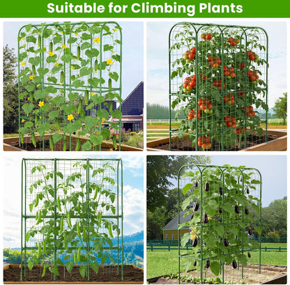 62in Tall Cucumber Trellis for Raised Bed, 51" L x 62" H Metal Garden Trellis for Climbing Plants Outdoor, U-Shape Vegetables Trellis Support for Squash Zucchini Peas Grape