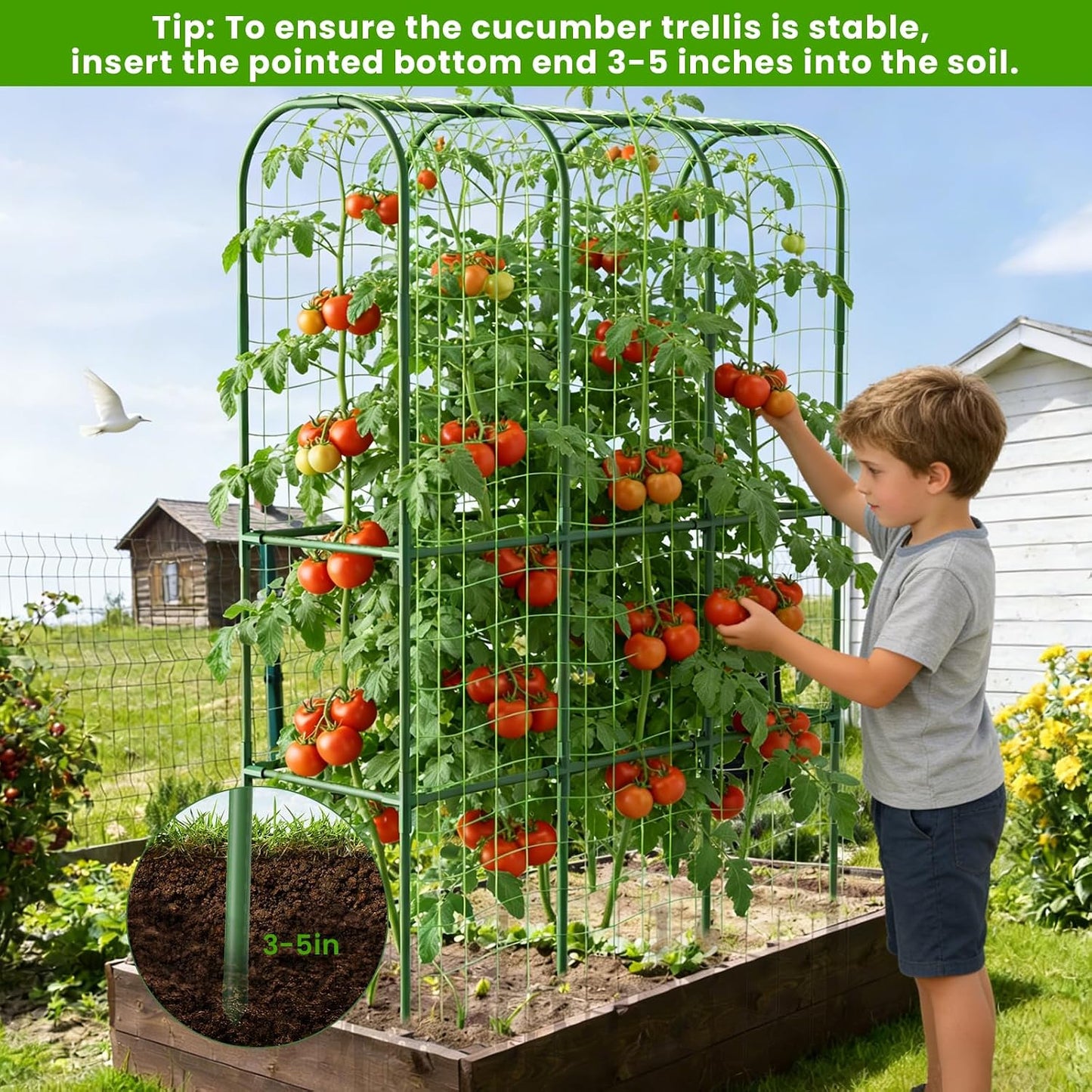 62in Tall Cucumber Trellis for Raised Bed, 51" L x 62" H Metal Garden Trellis for Climbing Plants Outdoor, U-Shape Vegetables Trellis Support for Squash Zucchini Peas Grape