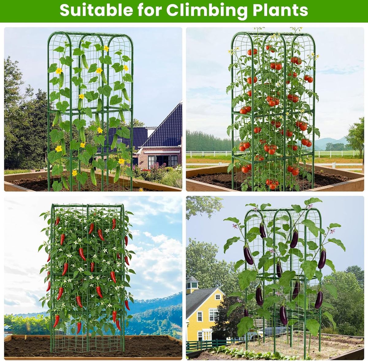 62in Tall Cucumber Trellis for Raised Bed, 51" L x 62" H Metal Garden Trellis for Climbing Plants Outdoor, U-Shape Vegetables Trellis Support for Squash Zucchini Peas Grape