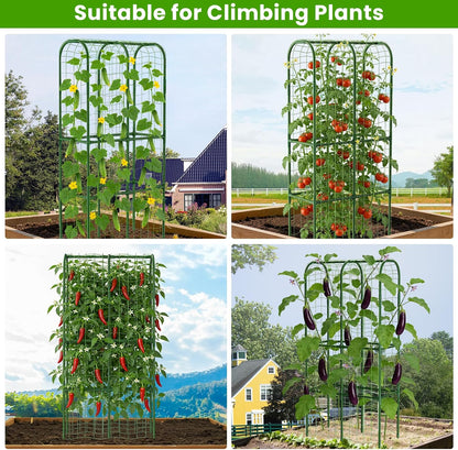 62in Tall Cucumber Trellis for Raised Bed, 51" L x 62" H Metal Garden Trellis for Climbing Plants Outdoor, U-Shape Vegetables Trellis Support for Squash Zucchini Peas Grape