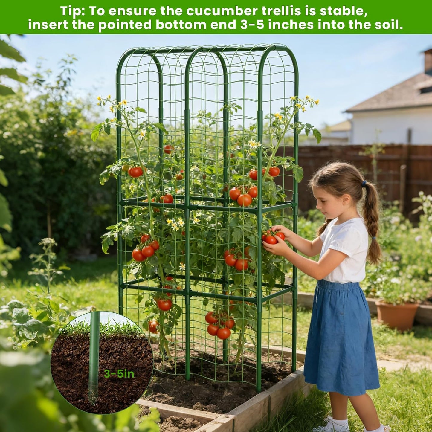 62in Tall Cucumber Trellis for Raised Bed, 51" L x 62" H Metal Garden Trellis for Climbing Plants Outdoor, U-Shape Vegetables Trellis Support for Squash Zucchini Peas Grape