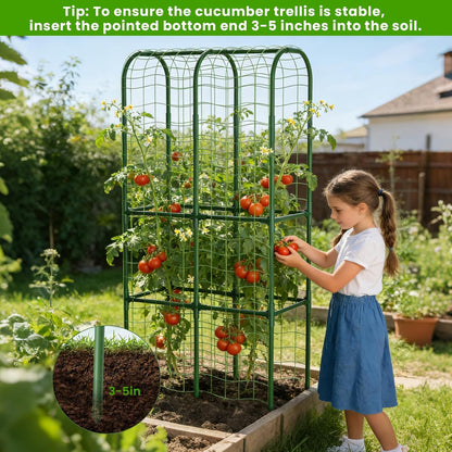 62in Tall Cucumber Trellis for Raised Bed, 51" L x 62" H Metal Garden Trellis for Climbing Plants Outdoor, U-Shape Vegetables Trellis Support for Squash Zucchini Peas Grape