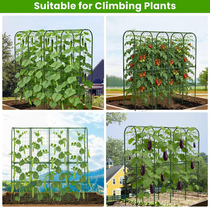 62in Tall Cucumber Trellis for Raised Bed, 51" L x 62" H Metal Garden Trellis for Climbing Plants Outdoor, U-Shape Vegetables Trellis Support for Squash Zucchini Peas Grape