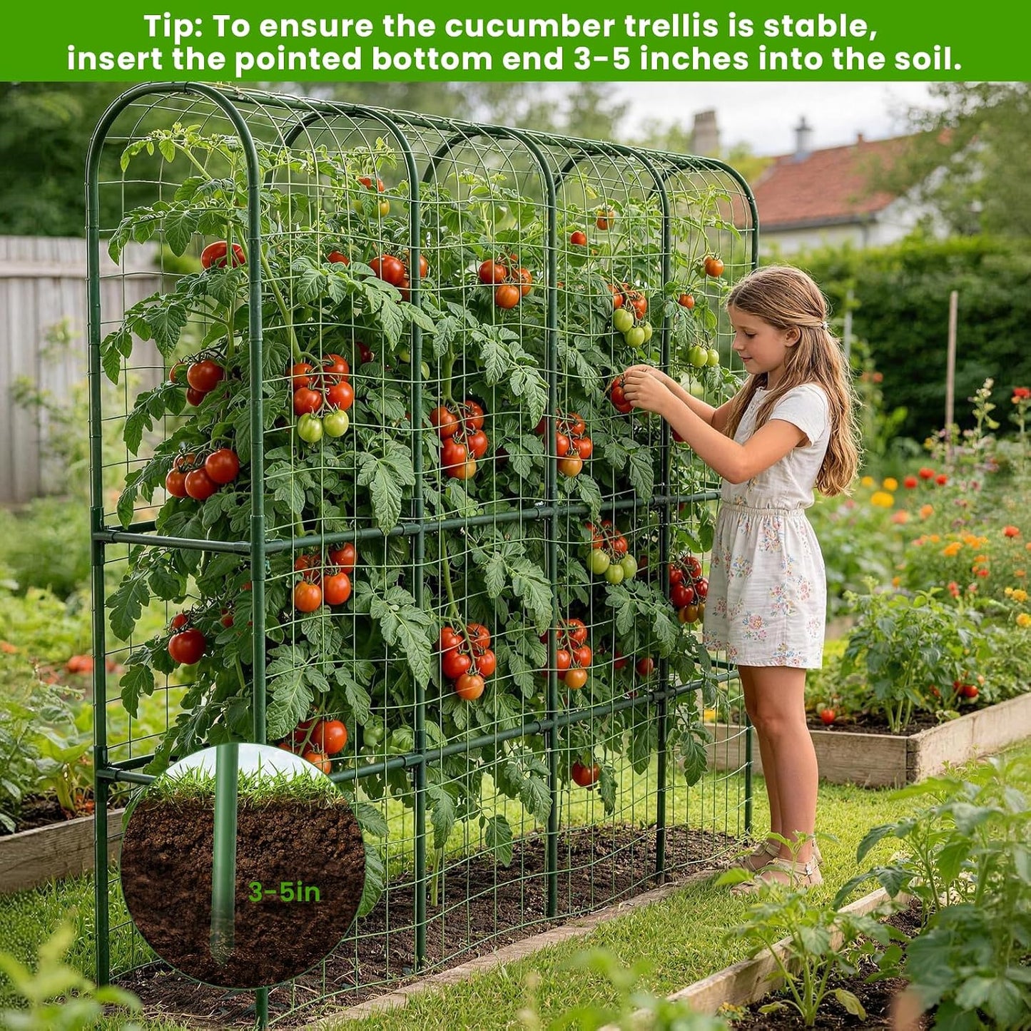62in Tall Cucumber Trellis for Raised Bed, 51" L x 62" H Metal Garden Trellis for Climbing Plants Outdoor, U-Shape Vegetables Trellis Support for Squash Zucchini Peas Grape