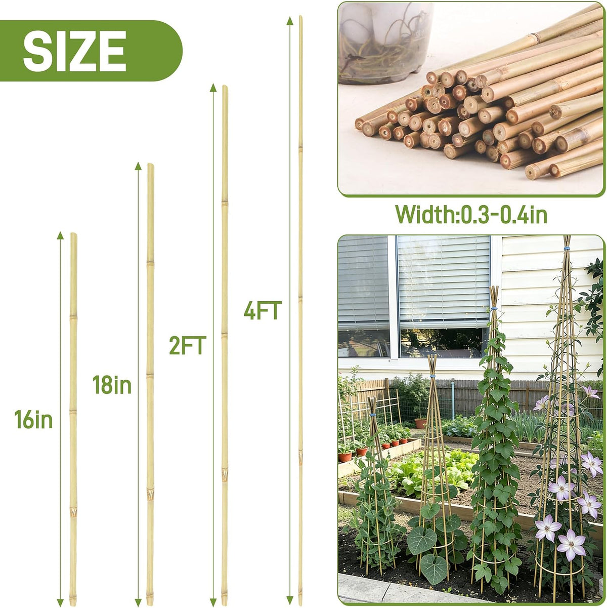 50Pcs Garden Stakes, 0.32”/16 Inch Bamboo Sticks，Natural Plant Stakes for Indoor and Outdoor Plants，Poles for Tomatoes, Beans, Potted Plants