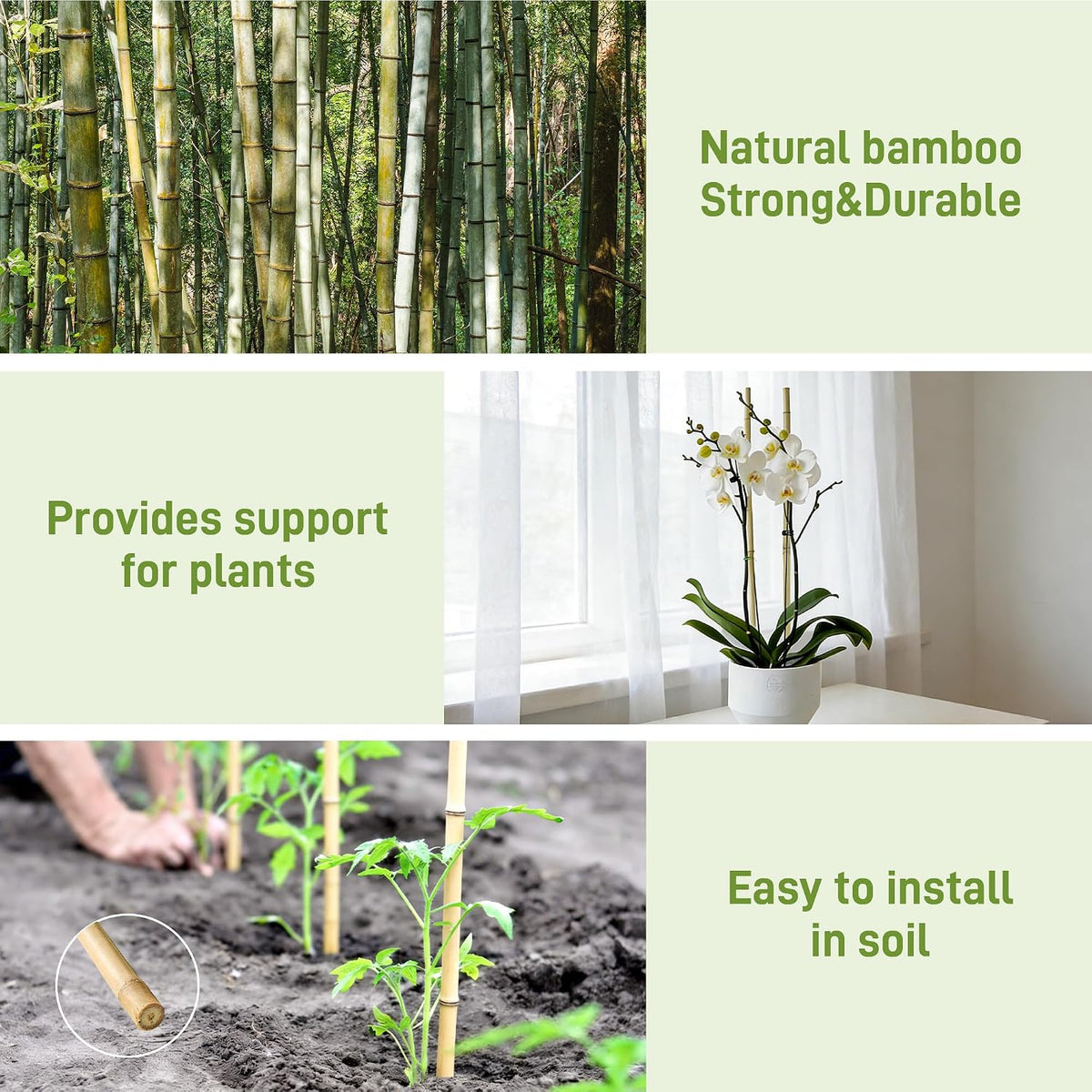 50Pcs Garden Stakes, 0.32”/16 Inch Bamboo Sticks，Natural Plant Stakes for Indoor and Outdoor Plants，Poles for Tomatoes, Beans, Potted Plants