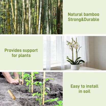 50Pcs Garden Stakes, 0.32”/16 Inch Bamboo Sticks，Natural Plant Stakes for Indoor and Outdoor Plants，Poles for Tomatoes, Beans, Potted Plants
