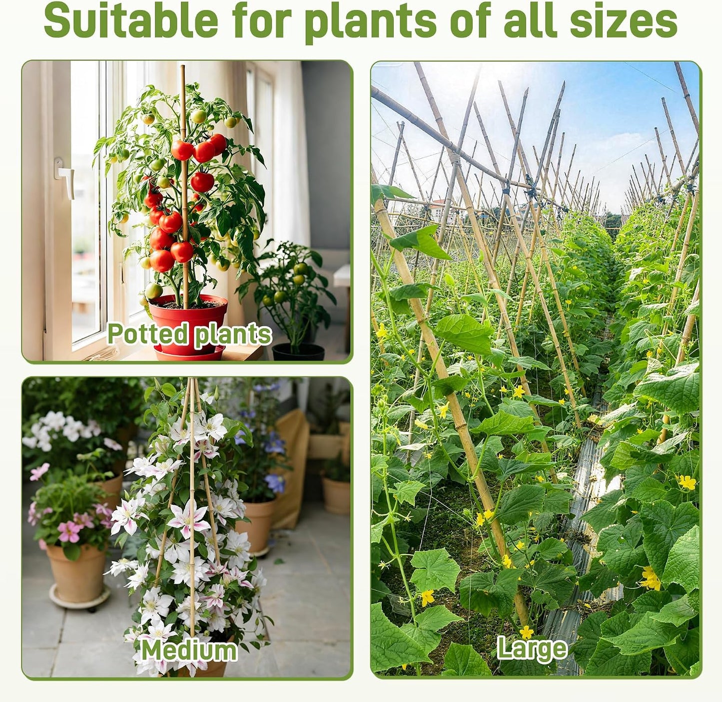 50Pcs Garden Stakes, 0.32”/16 Inch Bamboo Sticks，Natural Plant Stakes for Indoor and Outdoor Plants，Poles for Tomatoes, Beans, Potted Plants