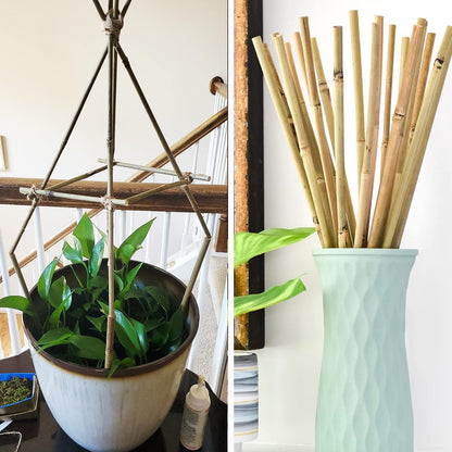 50Pcs Garden Stakes, 0.32”/16 Inch Bamboo Sticks，Natural Plant Stakes for Indoor and Outdoor Plants，Poles for Tomatoes, Beans, Potted Plants
