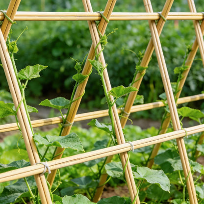 50Pcs Garden Stakes, 0.32”/16 Inch Bamboo Sticks，Natural Plant Stakes for Indoor and Outdoor Plants，Poles for Tomatoes, Beans, Potted Plants