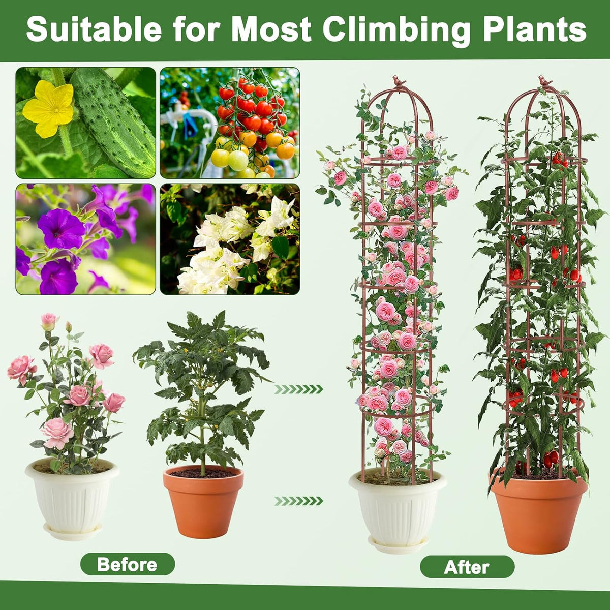 2 Pack 7Ft Heavy Duty Metal Garden Obelisk Trellis for Climbing Plants, Rust-Resistant Steel Vine Support Bird Finial for Rose Clematis, Potted Flowers Stand Indoor Outdoor Decor (Rose Gold)